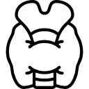 Anameia Icon